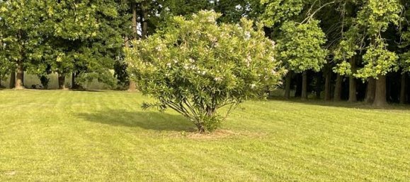 Grundstück in Saccolongo, Italy 3000m², Nr. 9185 4