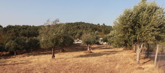 3 Schlafzimmer Haus in Abrantes, Portugal, Nr. 353731 16