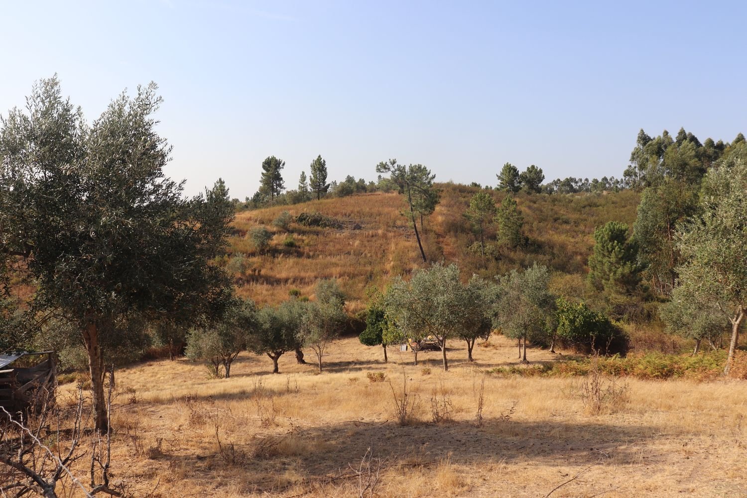 3 غرف نوم منزل في Abrantes, Portugal رقم 353731