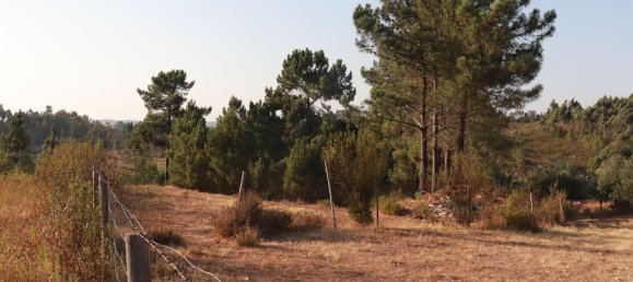 3 Schlafzimmer Haus in Abrantes, Portugal, Nr. 353731 17