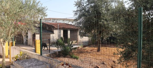 3 Schlafzimmer Haus in Abrantes, Portugal, Nr. 353731 4