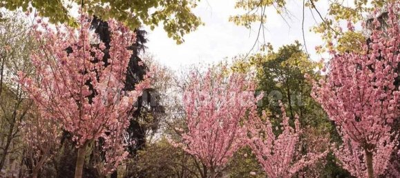 2 chambres Appartement à Milan, Italy No. 282617 3