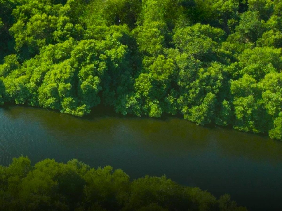 18405m² Land in Al Zorah, UAE No. 102658