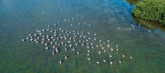 18405m² Land in Al Zorah, UAE No. 102658 23