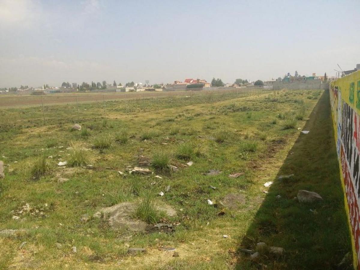 Land for sale in Mexico № 202840