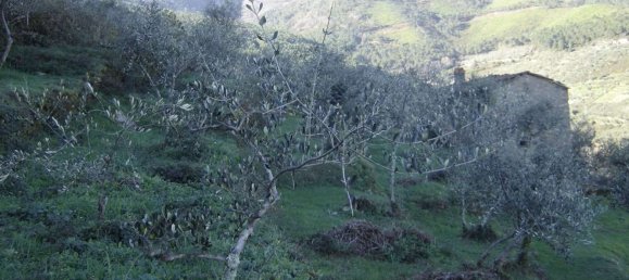 Estudio en Buti, Italy No. 158171 9