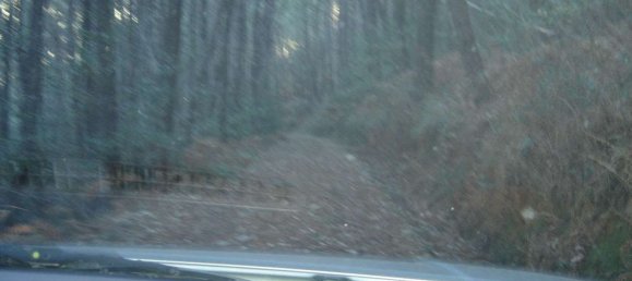 Estudio en Buti, Italy No. 158171 24