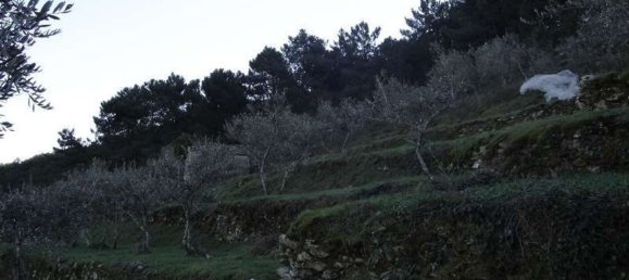 Estudio en Buti, Italy No. 158171 22