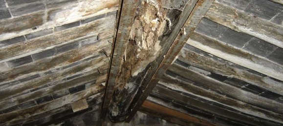 Estudio en Buti, Italy No. 158171 18