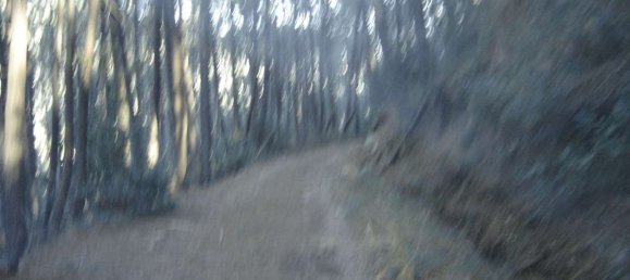 Estudio en Buti, Italy No. 158171 25