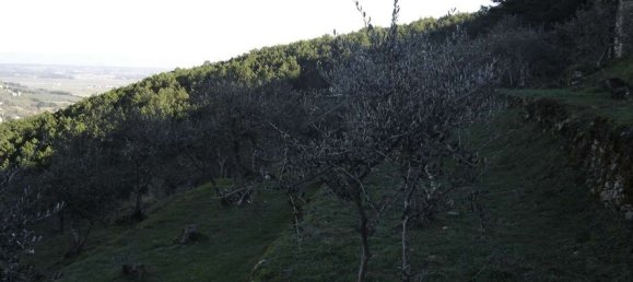 Estudio en Buti, Italy No. 158171 8