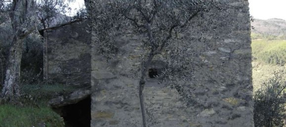 Estudio en Buti, Italy No. 158171 10