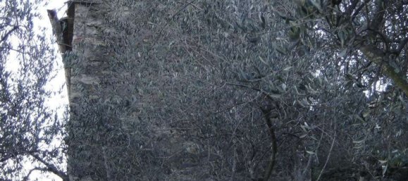 Estudio en Buti, Italy No. 158171 14