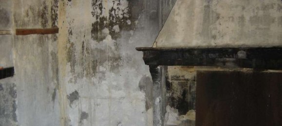 Estudio en Buti, Italy No. 158171 21