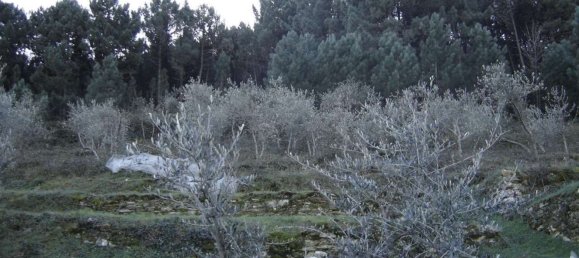 Estudio en Buti, Italy No. 158171 7