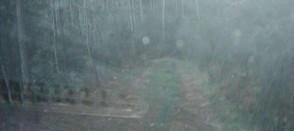 Estudio en Buti, Italy No. 158171 23