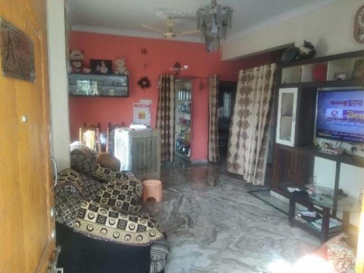 استوديو في Hyderabad, India رقم 19501