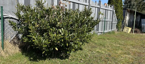 Grundstück in Bohnsdorf, Germany, Nr. 234257 4