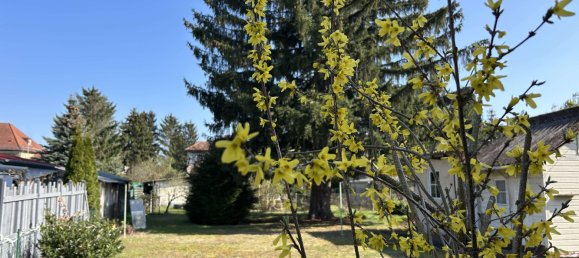 Grundstück in Bohnsdorf, Germany, Nr. 234257 3