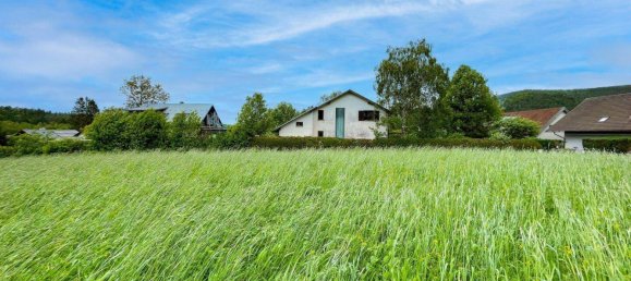 Terreno en Stattegg, Austria No. 213486 6