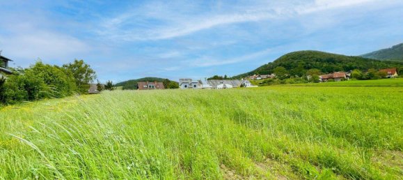 Terreno en Stattegg, Austria No. 213486 4