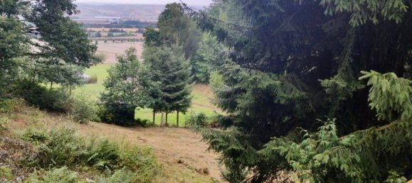 Bungalow T1 em Mansfeld-Sudharz, Germany N.º 292159 12