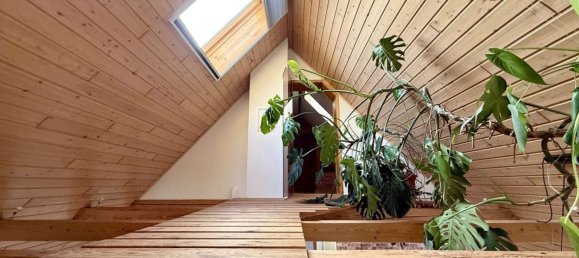 5 غرف نوم منزل في Neu-Ulm, Germany رقم 213384 19