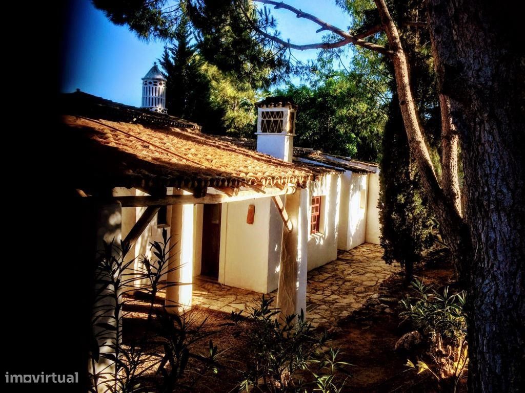 9 bedrooms House in Loule, Portugal No. 199723