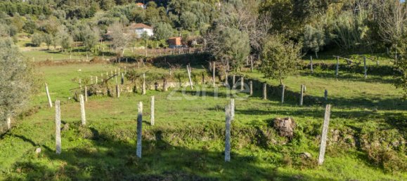 6 bedrooms House in Arcos de Valdevez, Portugal No. 77777 12