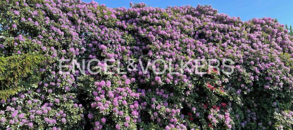 Дом с 3 спальнями в Золинген, Германия № 228876 32