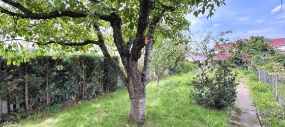 3-Zimmer Wohnung in Oder-Spree, Germany, Nr. 283500 9