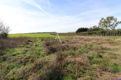 631m² Land in Blere, France No. 85156