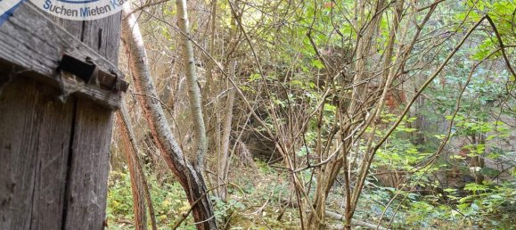 10-Zimmer Stadthaus in Raabs an der Thaya, Austria, Nr. 219529 13