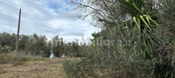 2 bedrooms Villa in Cutrofiano, Italy No. 155032 15