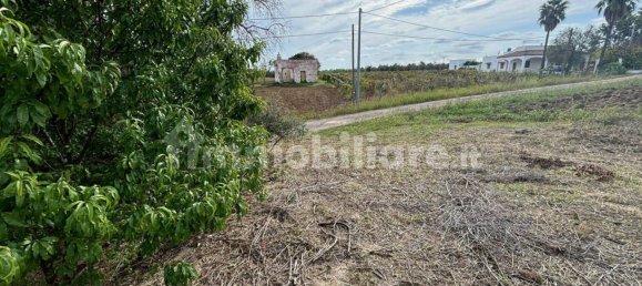 2 bedrooms Villa in Cutrofiano, Italy No. 155032 7