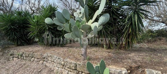 2 bedrooms Villa in Cutrofiano, Italy No. 155032 10