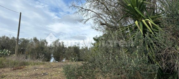 2 bedrooms Villa in Cutrofiano, Italy No. 155032 13