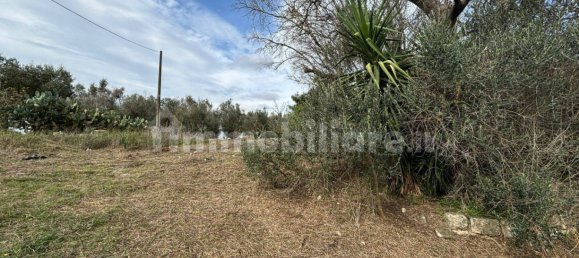 2 bedrooms Villa in Cutrofiano, Italy No. 155032 9