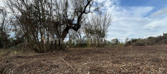 2 bedrooms Villa in Cutrofiano, Italy No. 155032 2