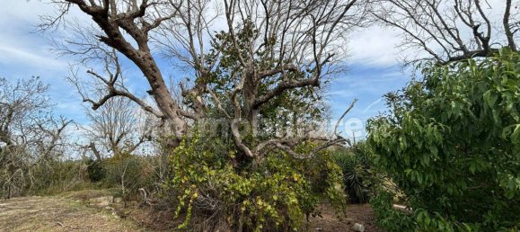 2 bedrooms Villa in Cutrofiano, Italy No. 155032 12