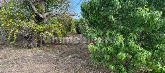 2 bedrooms Villa in Cutrofiano, Italy No. 155032 14