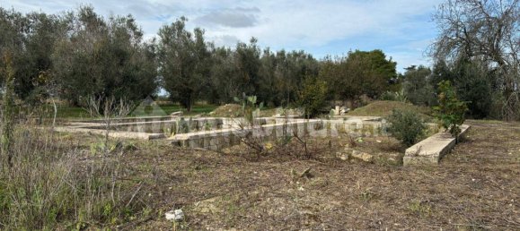 2 bedrooms Villa in Cutrofiano, Italy No. 155032 4