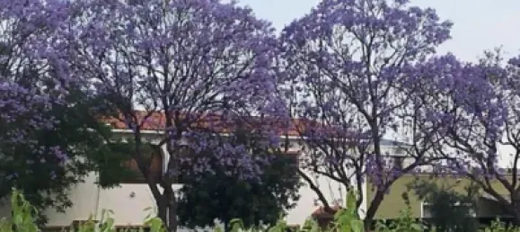 Casa de 4 dormitorios en Carcaixent, Spain No. 116003 11