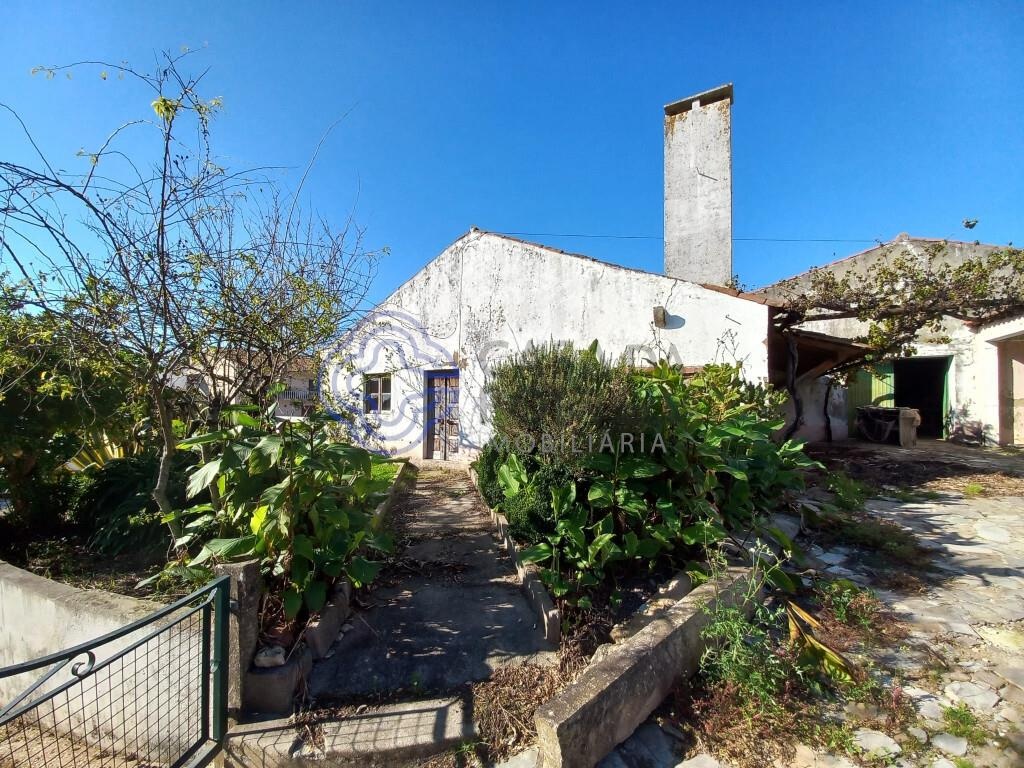 3 bedrooms House in Torres Novas, Portugal No. 14516