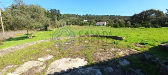 3 bedrooms House in Torres Novas, Portugal No. 14516 26