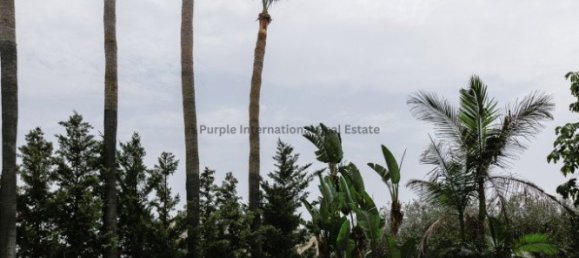 6 Schlafzimmer Villa in Pyrgos, Cyprus, Nr. 2735 2