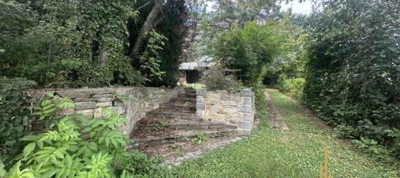 Terreno em St. Egyden am Steinfeld, Austria N.º 243099 13