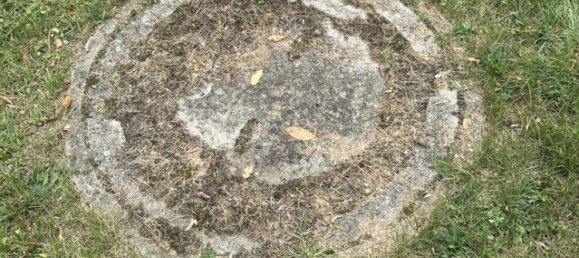 Terreno em St. Egyden am Steinfeld, Austria N.º 243099 4