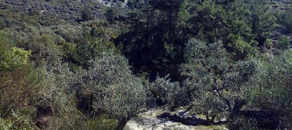 Hôtel à Kavala, Greece 13000m² No. 7961 4