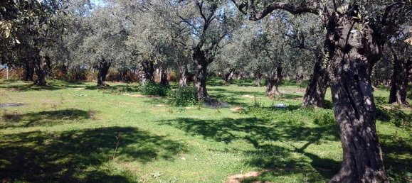 Hôtel à Kavala, Greece 13000m² No. 7961 3